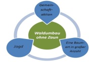 Waldumbau ohne Zaun: Ein Drei-Säulen Konzept basierend auf Gemeinschaftsaktioen, Jagd und einer Baumart in großer Anzahl