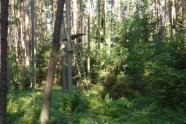 Hochsitz im Wald