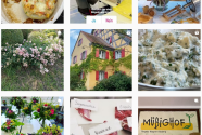 Bilder vom Instagram-Kanal der Hauswirtschaftsstudierenden