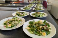 Viele angerichtete Salate, bereit zum Servieren