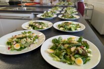 Viele angerichtete Salate, bereit zum Servieren