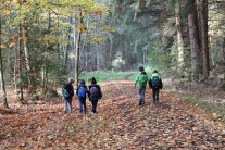 Kinder im Wald