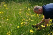 Ein Mann steht in einer Wiese und fotografiert Pflanzen mit dem Handy