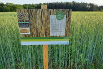 Ein Schild auf einem Feld