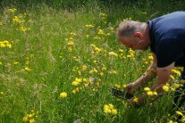 Ein Mann steht in einer Wiese und fotografiert Pflanzen mit dem Handy