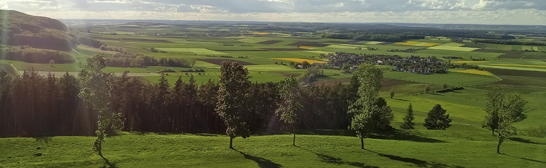 Panoramalandschaft mit Wiesen, Feldern und Wäldern