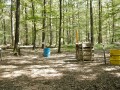 Faesser und Holzstapel im Wald