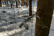 Detailaufnahme der Knoten eines Weiserzangeflechts im Schnee