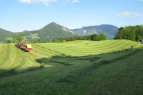 Traktor auf Feld im Hintergrund Bergkulisse